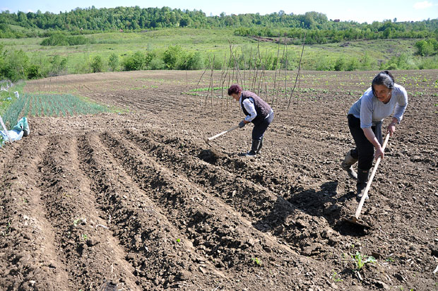 Опасни вирус који хара планетом овде није нашао пролаз: Корона заобишла Мајевицу